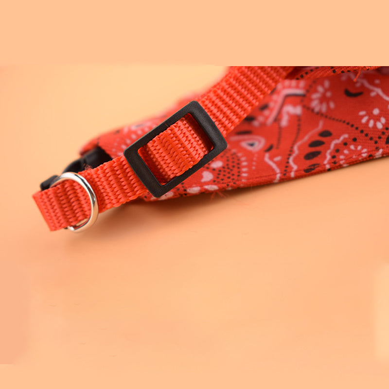 Compass Super Funky Fresh Pet Bandana