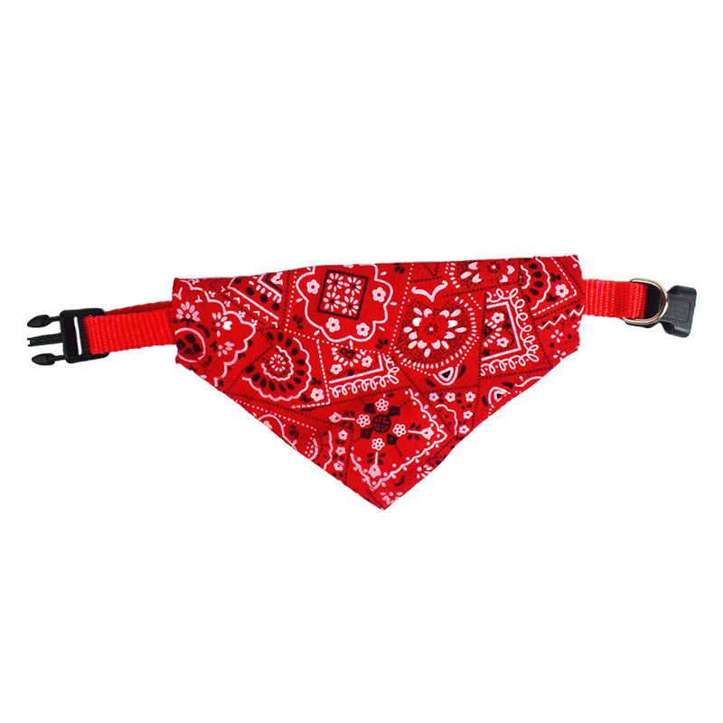 Compass Super Funky Fresh Pet Bandana