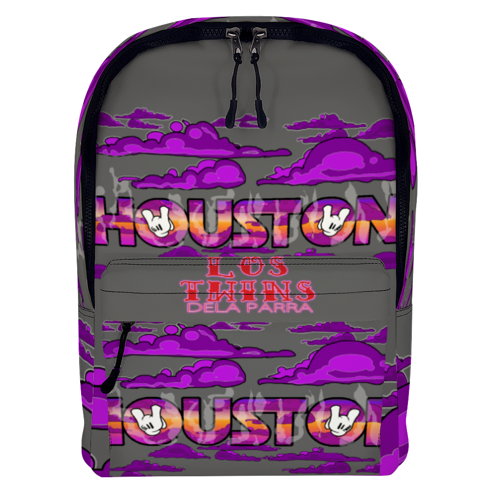 Houston Travel Laptop Backpack