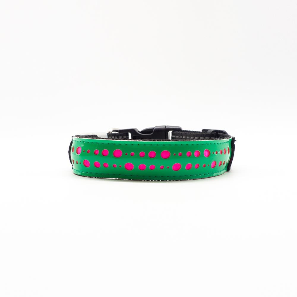 LED Collar for your Dog