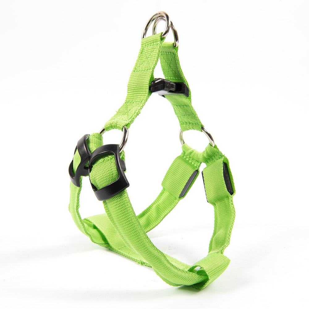 LED Dog Harness Luminous Rope