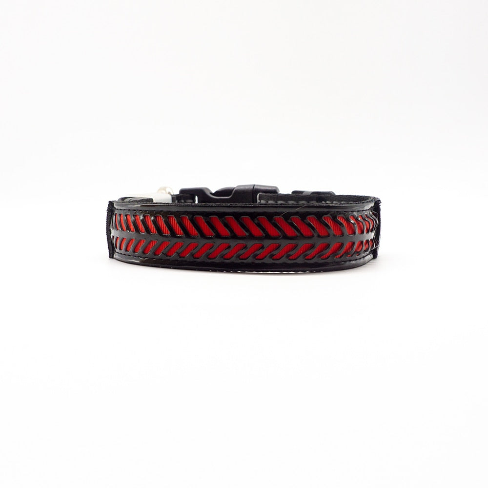 LED Collar for your Dog