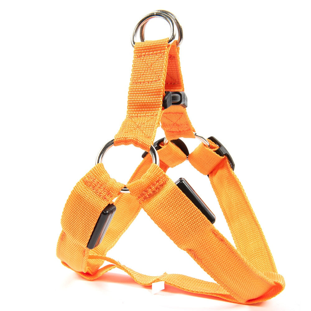 LED Dog Harness Luminous Rope