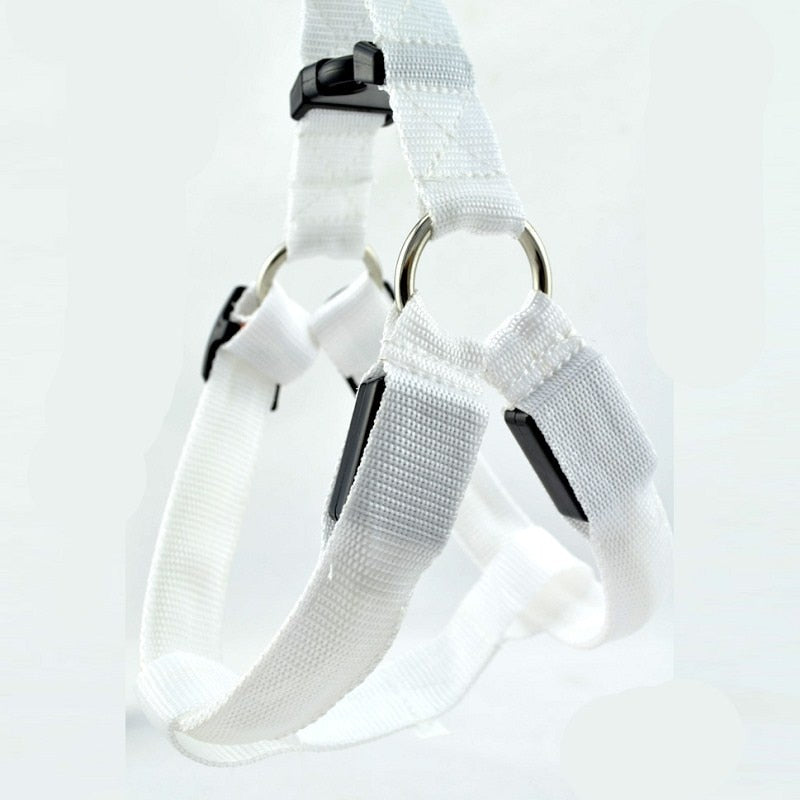 LED Dog Harness Luminous Rope