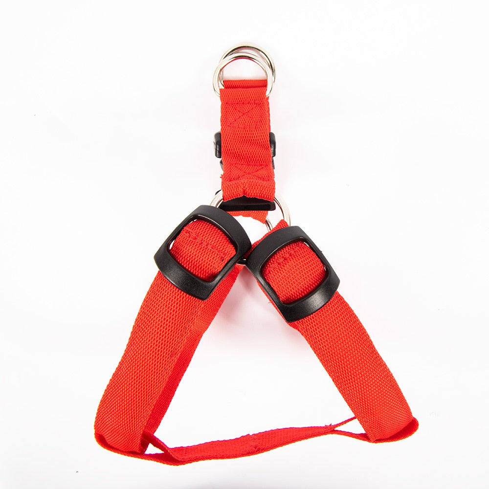 LED Dog Harness Luminous Rope