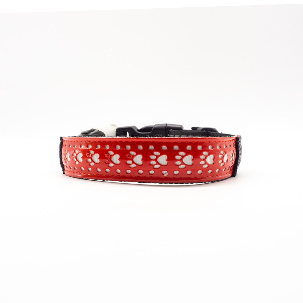 LED Collar for your Dog