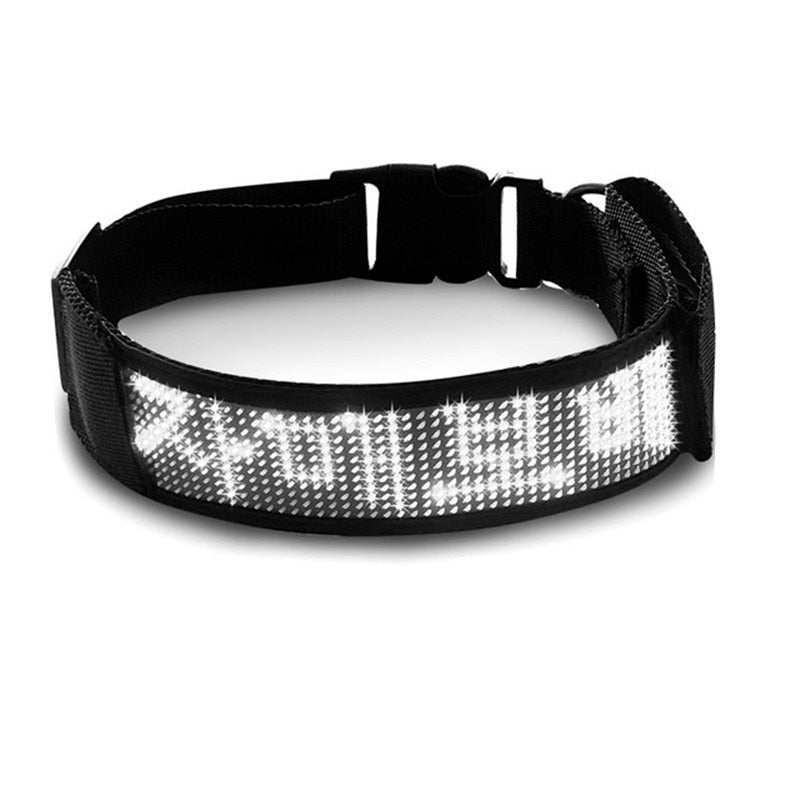 Waterproof LED Pet Dog Collar
