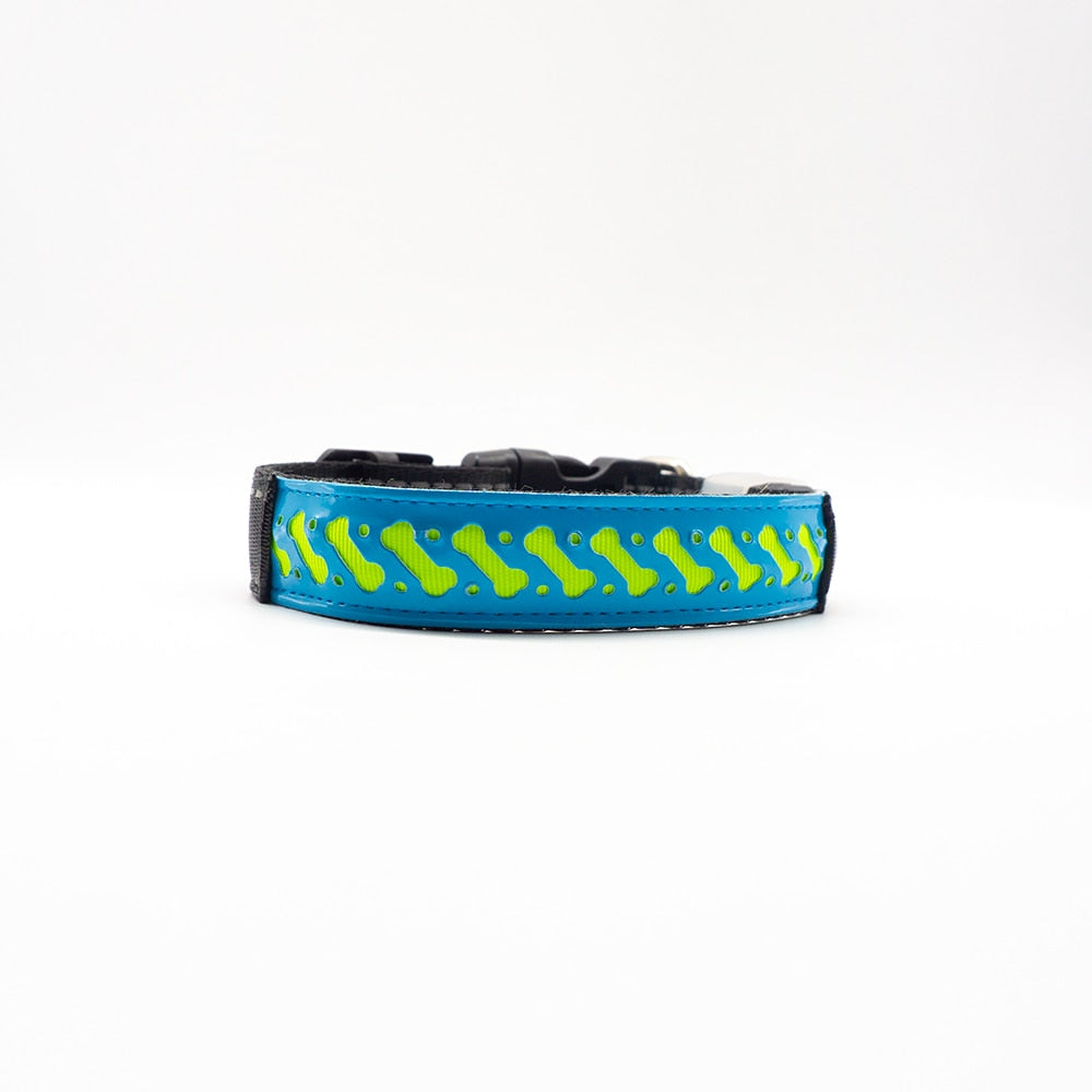LED Collar for your Dog