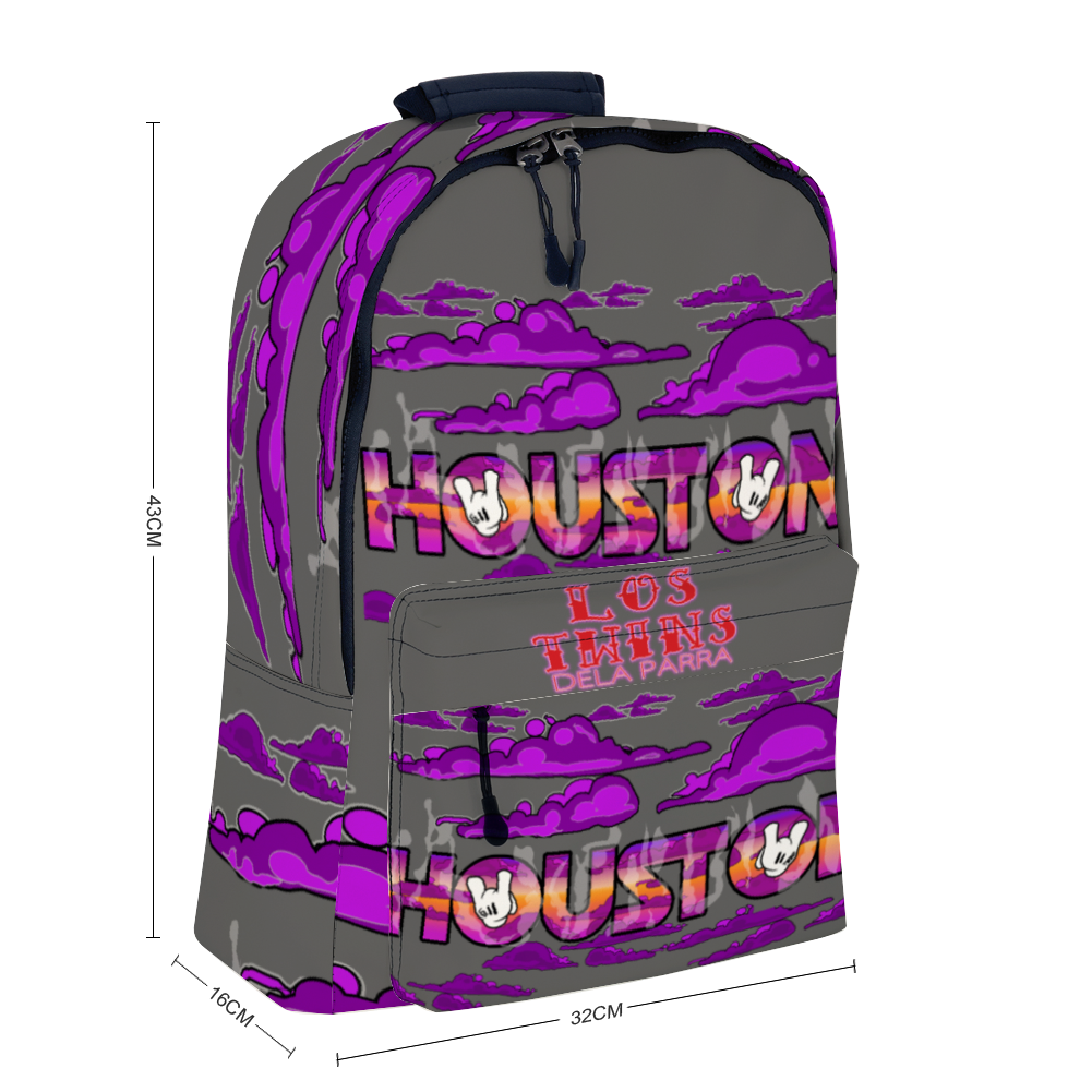 Houston Travel Laptop Backpack